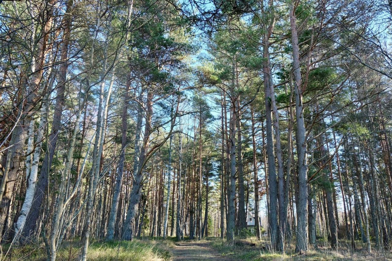 Tahkuna Puhkekeskus Hiiumaa Kültér fotó