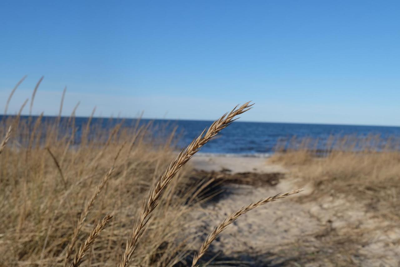Tahkuna Puhkekeskus Hiiumaa Kültér fotó